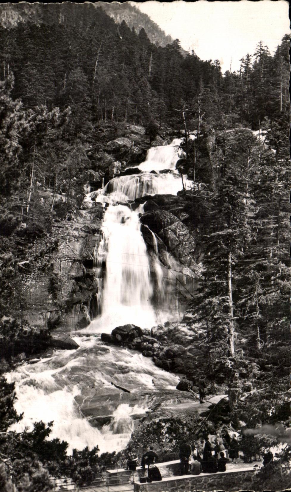 CPA Les Environs de Cauterets La Cascade du Pont d'Espagne