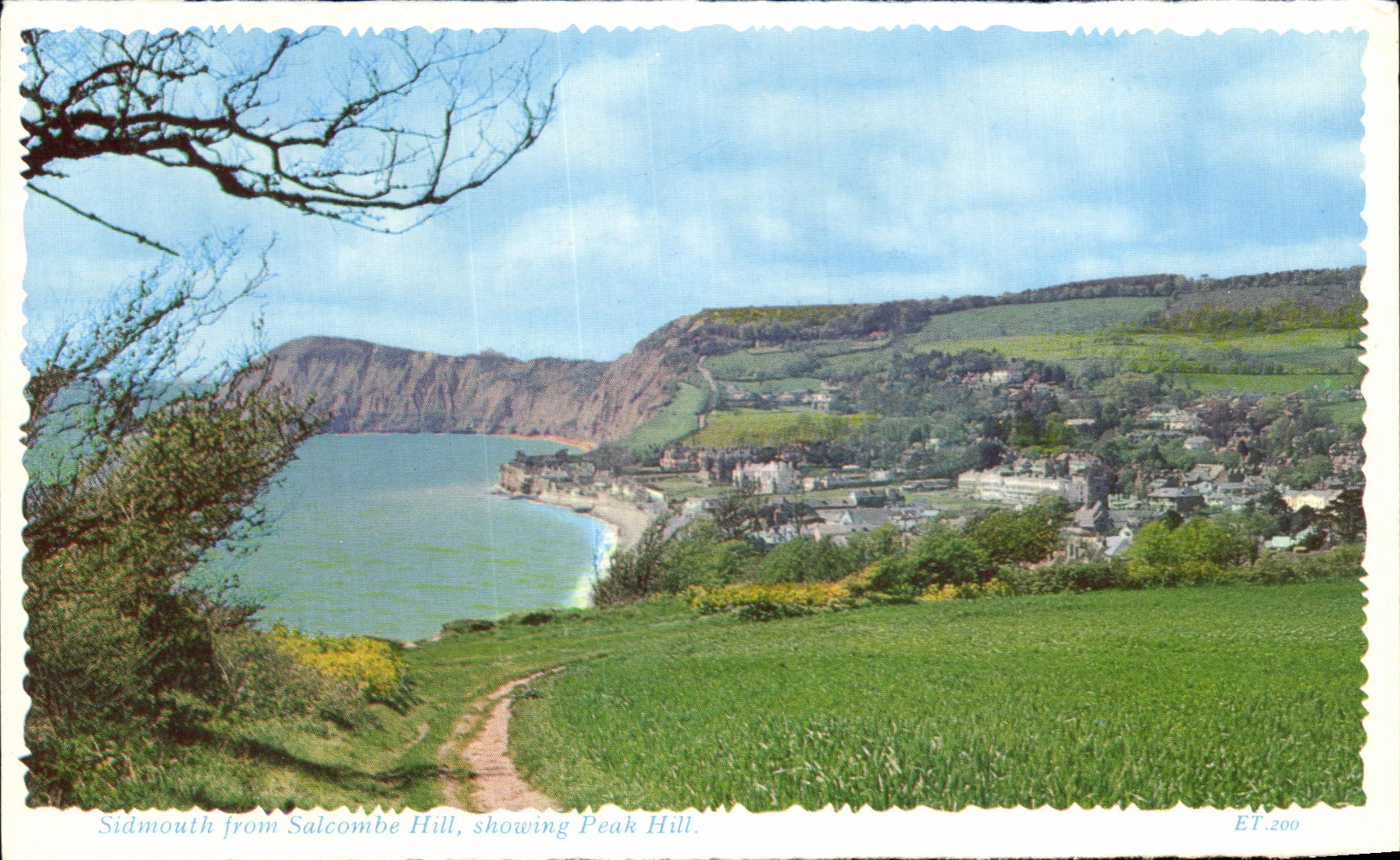 CPA Sidmouth From Satcombe Hill showing Peak Hill