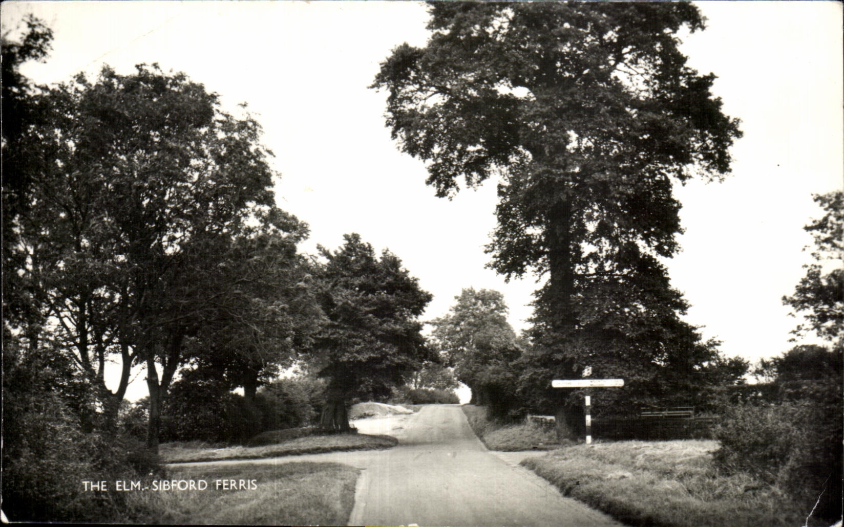 CPA The Elm Sibrofd Ferris