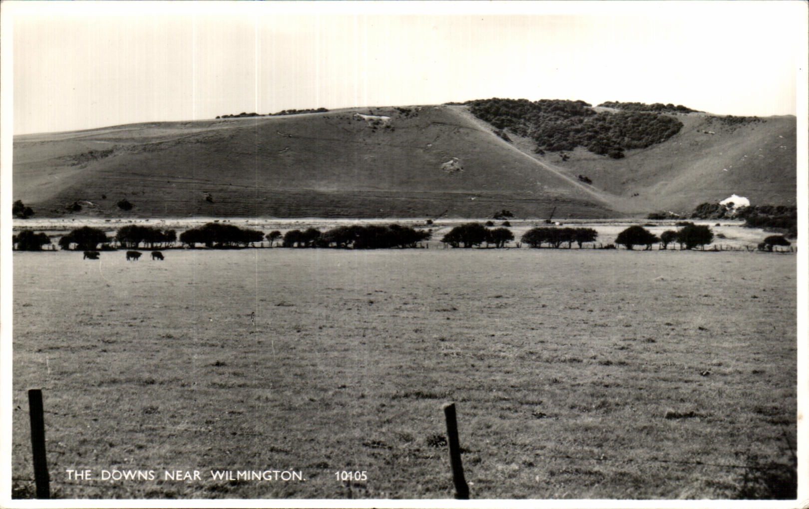 CPA The Downs Near Wilmington