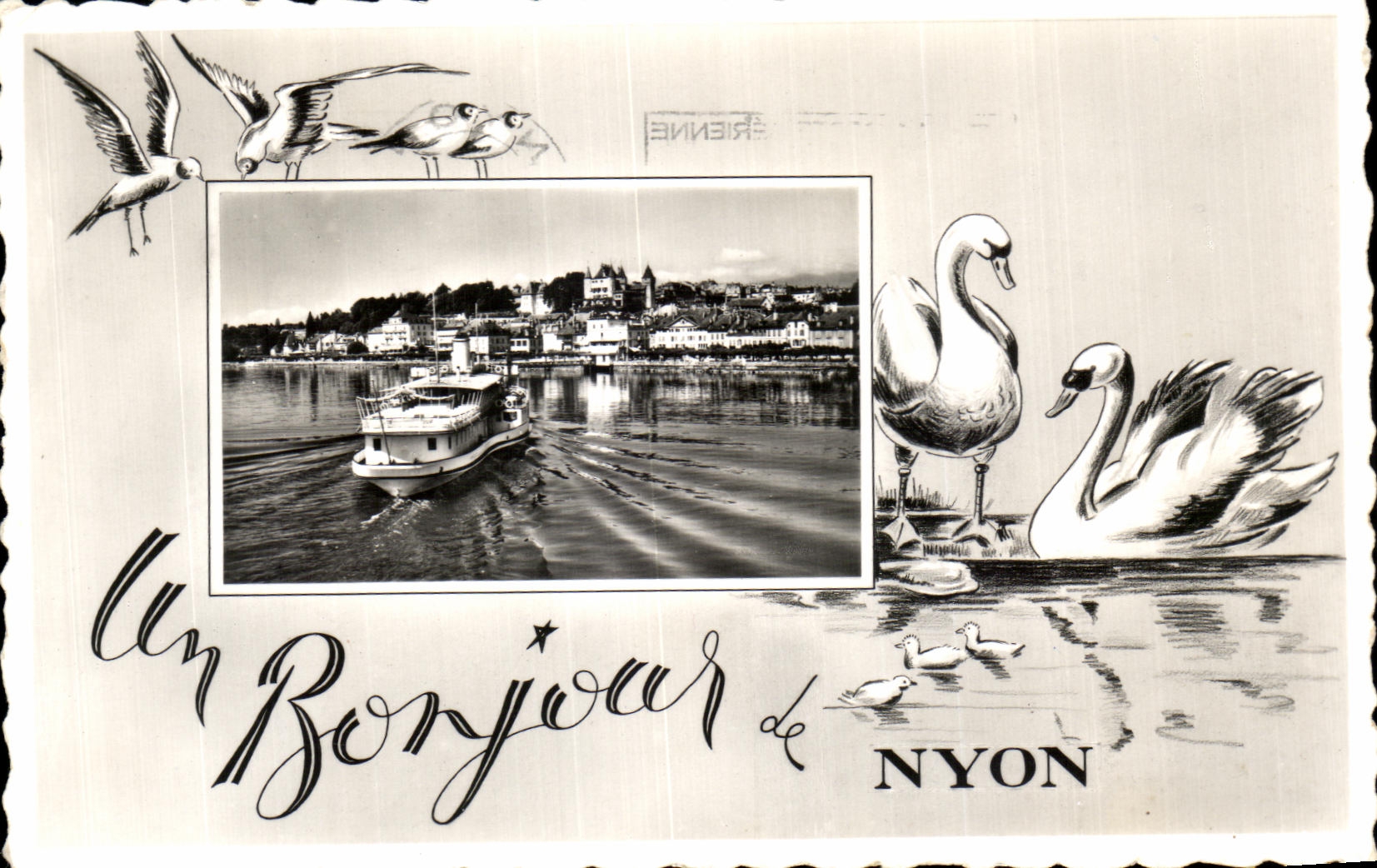 CPA Boujour Nyon Cygne Suisse