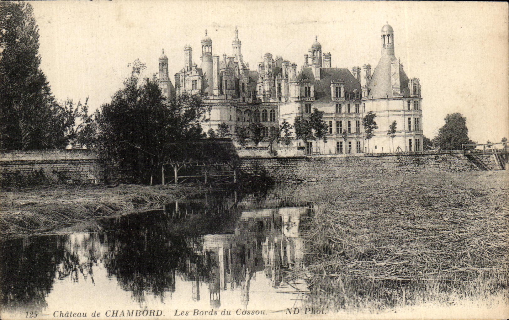CPA Chateau de Chambord Les Bords du Cosson