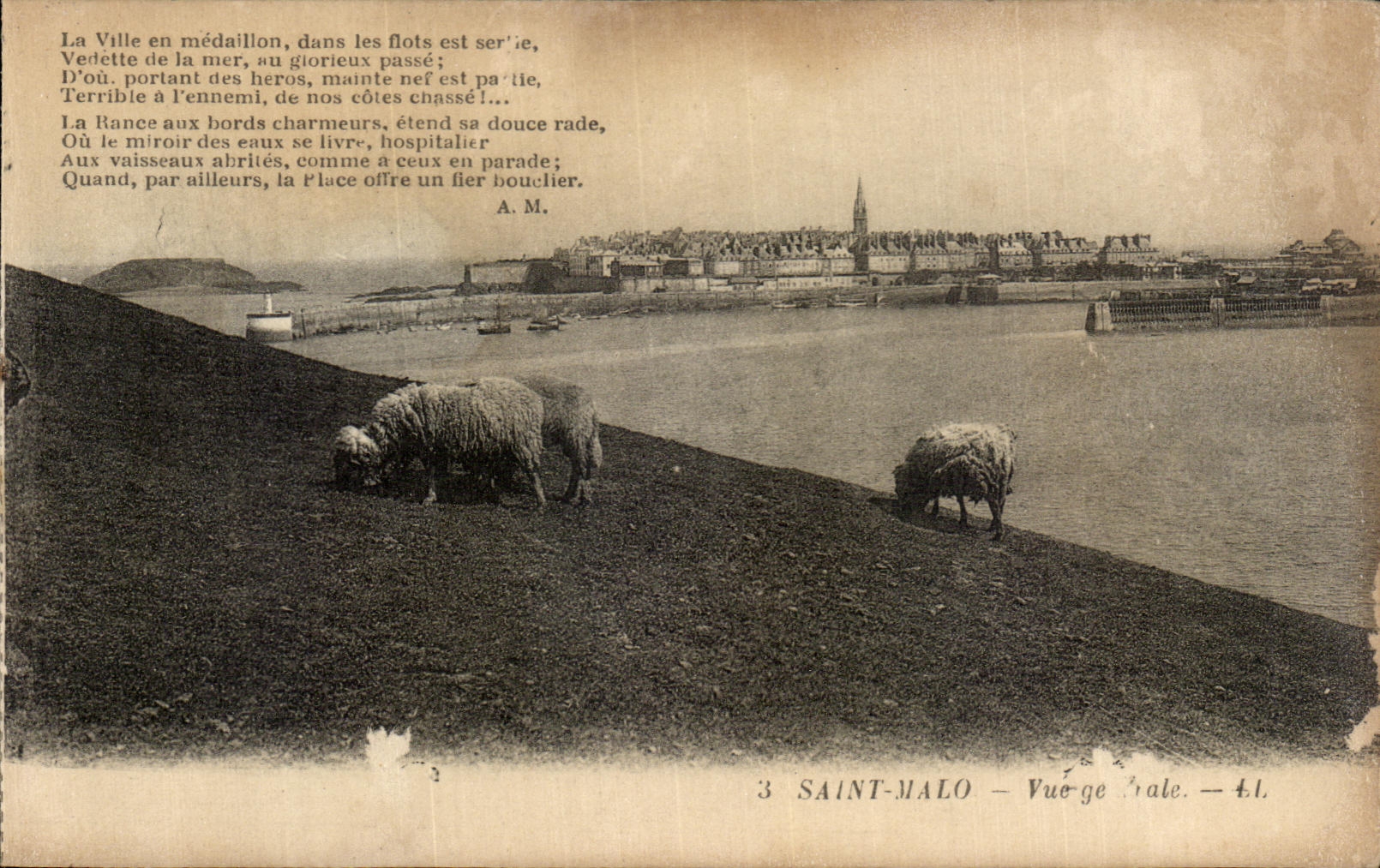 CPA Saint Malo Vue Generale Moutons 