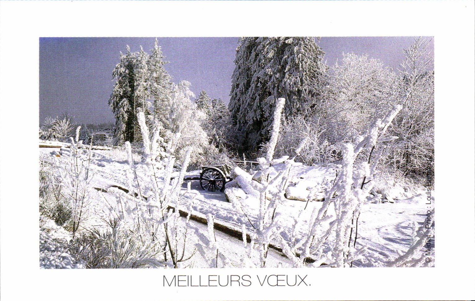 CPSM Meilleurs Vceux
