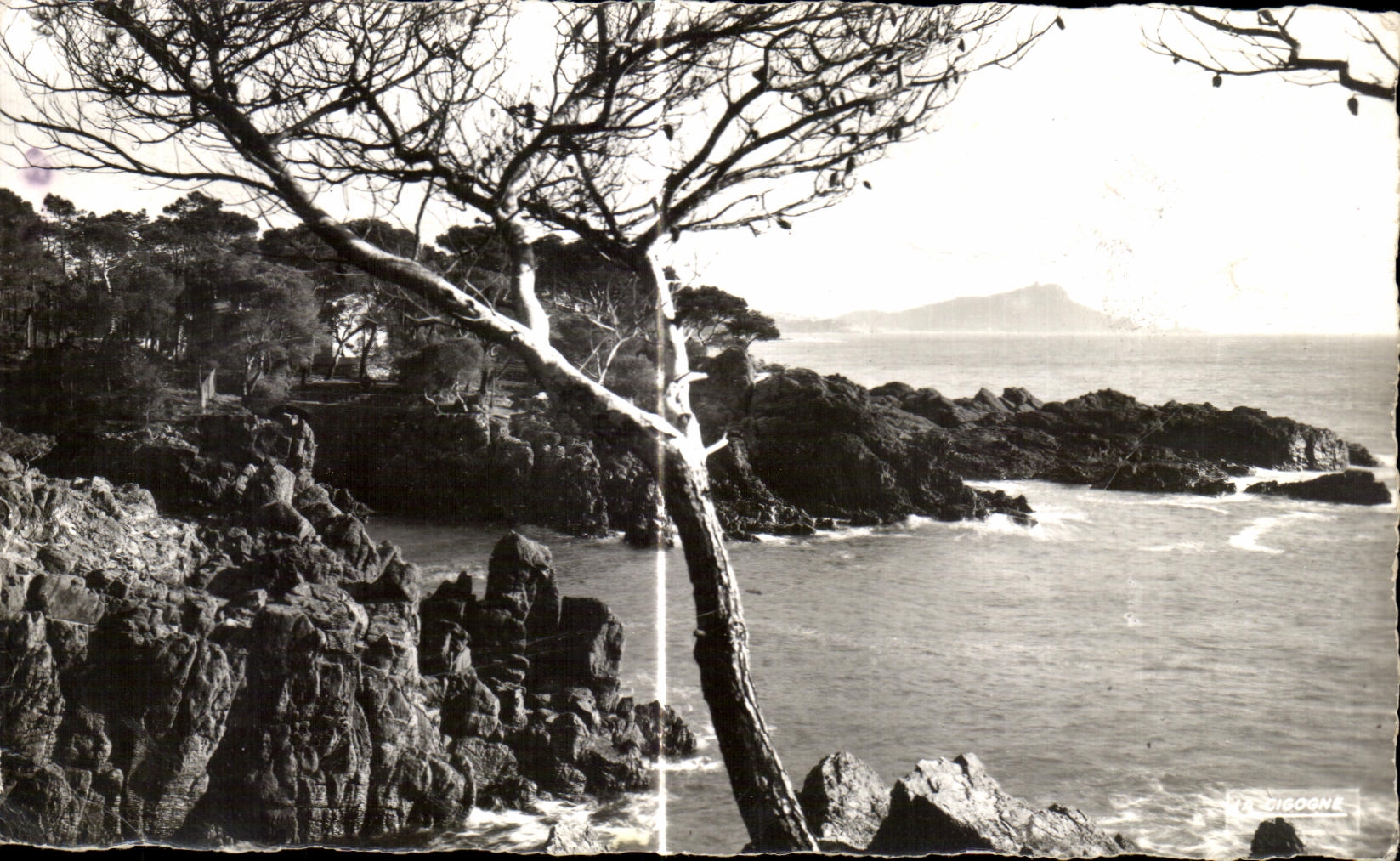 CPA La Corniche D'or Les Calanques de santa Lucia