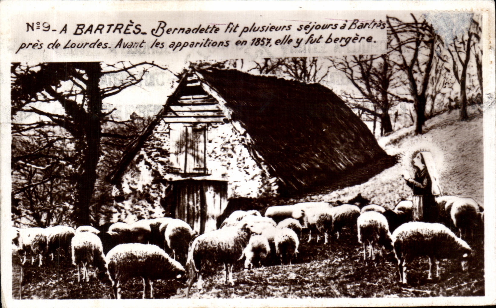 CPA Bartres bernadette Moutons 