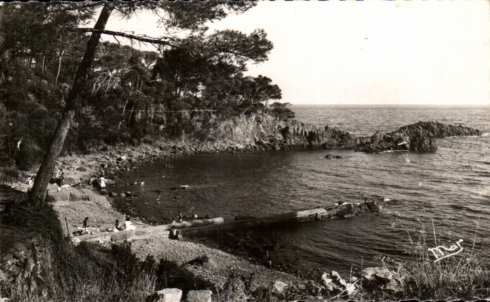CPA La cote D'Azur St Raphael Parc Santa Lucla