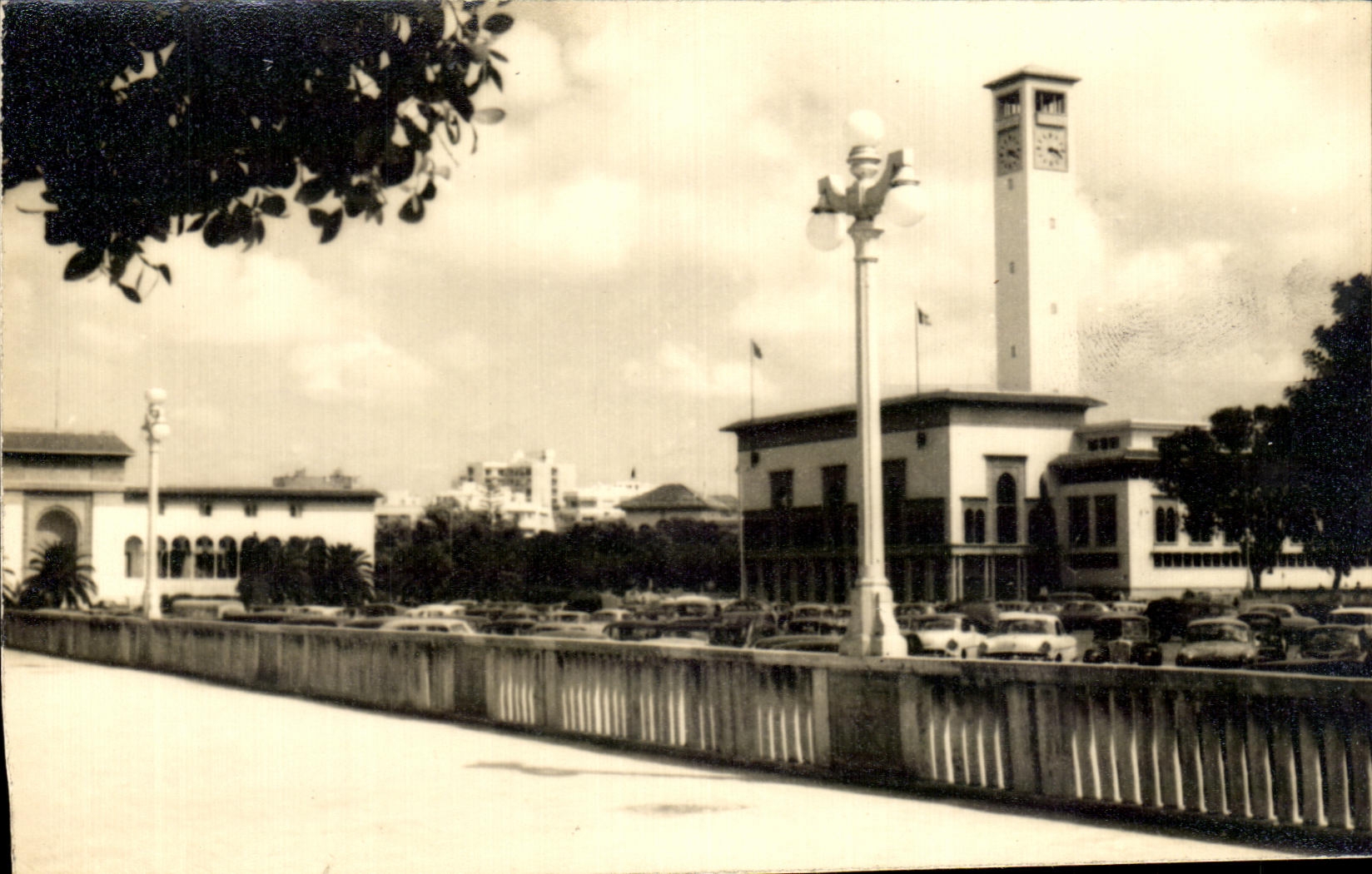 CPA Afrique du Nord (Algerie ?)