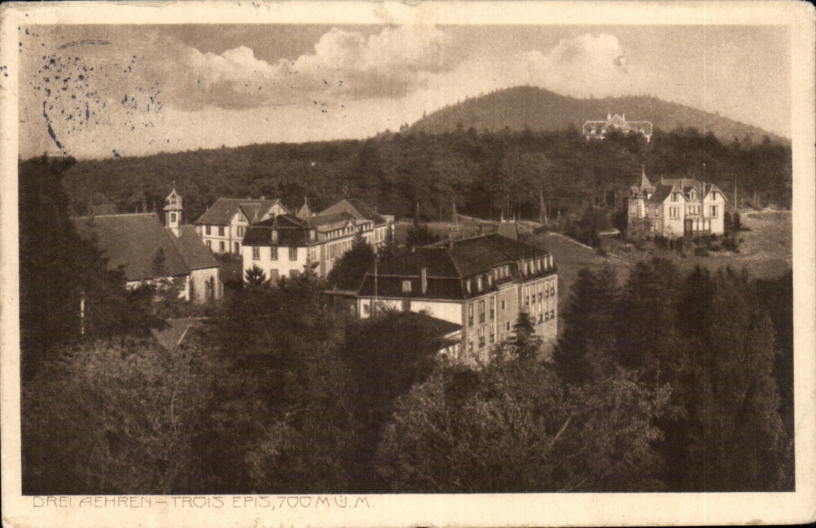 CPA Drei Aehren Three Ears