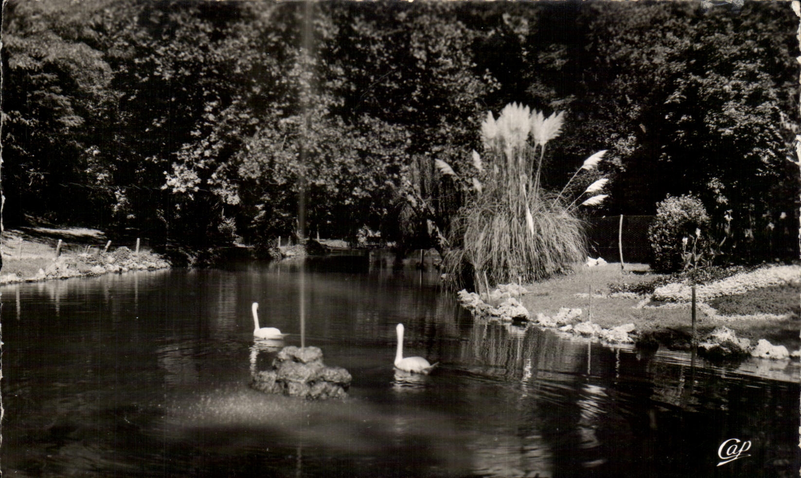 CPA La Rochelle the Public garden