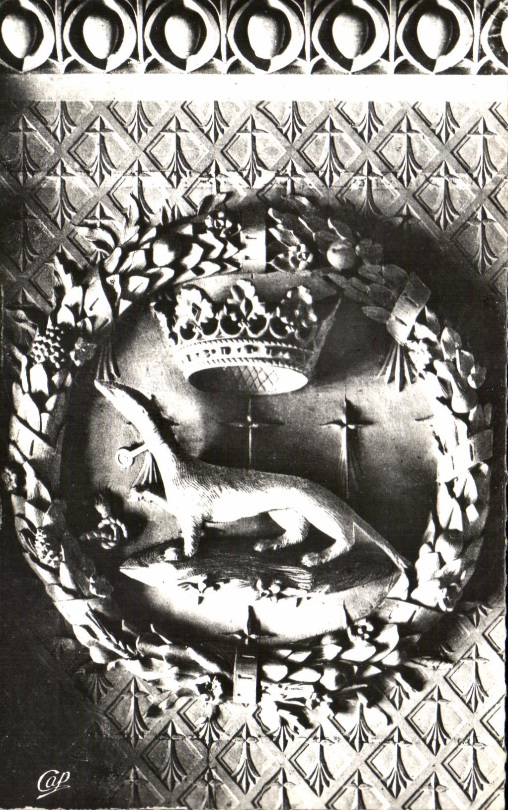 CPA Blois Le Chateau l'Hermine