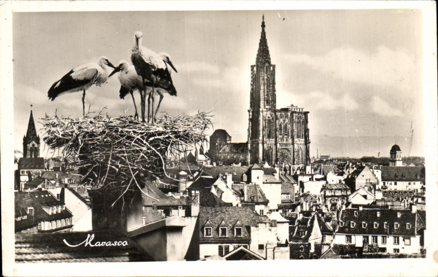 CPA Str Strasbourg View and the Nest of Storks