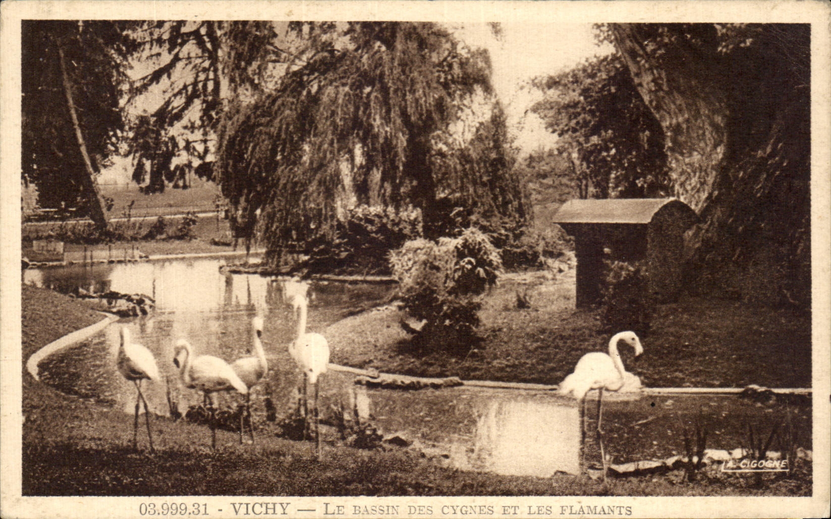CPA Vichy Dassin Of the Swans And Flamingos
