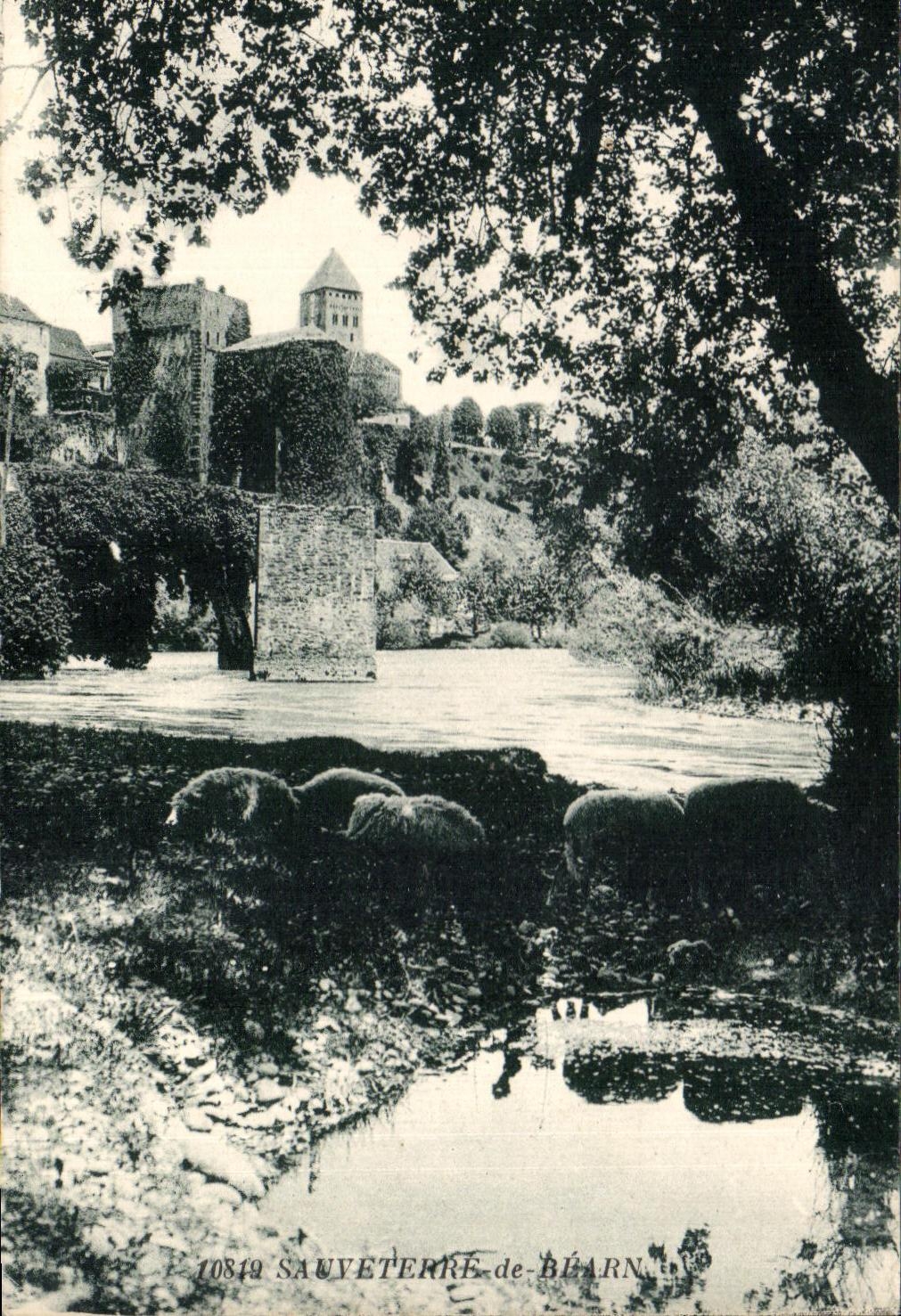 CPA Sauverre de Bearn Moutons
