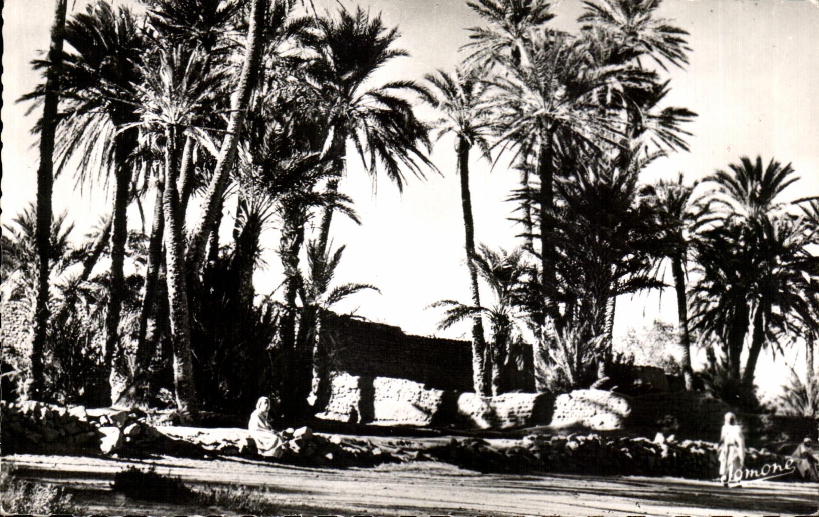 CPA Typs Scenes Entrance of I 'Oasis