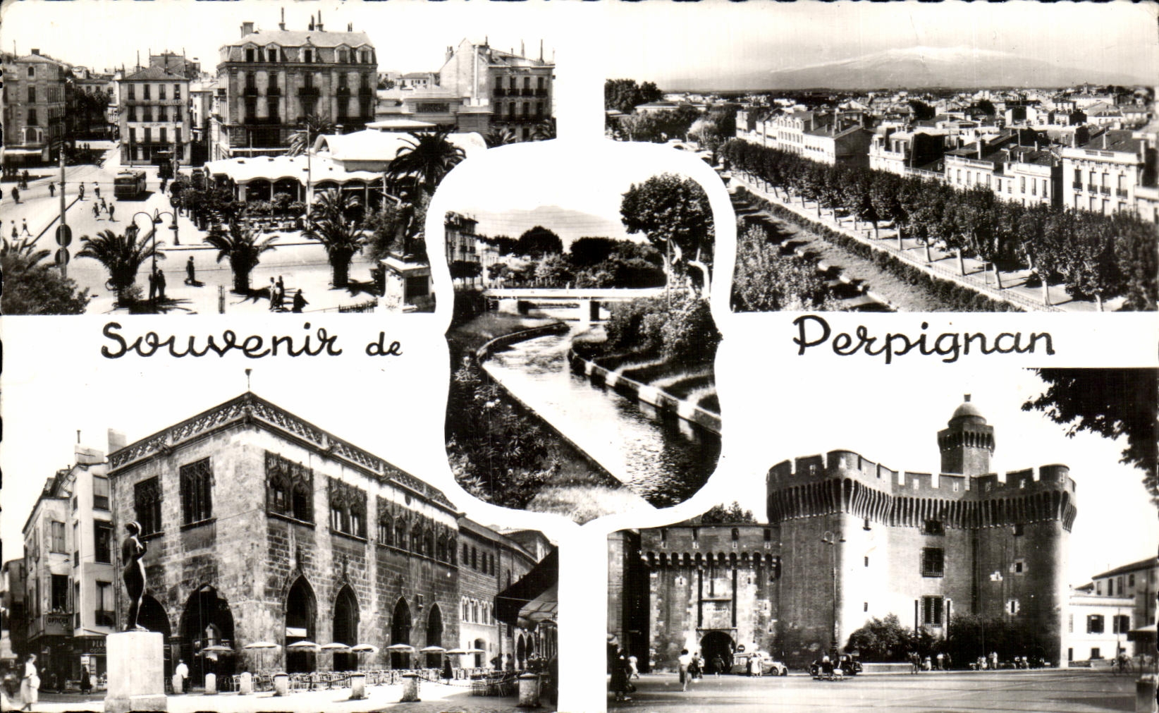 CPA Souvenir de Perpignan