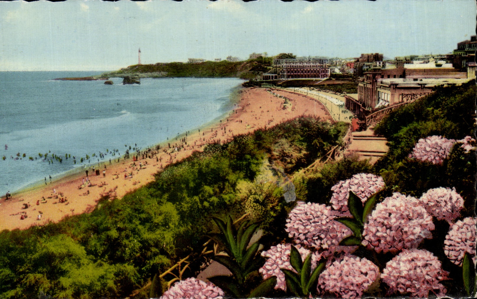 CPA Biarritz Les Hortensias et la Grande Plage
