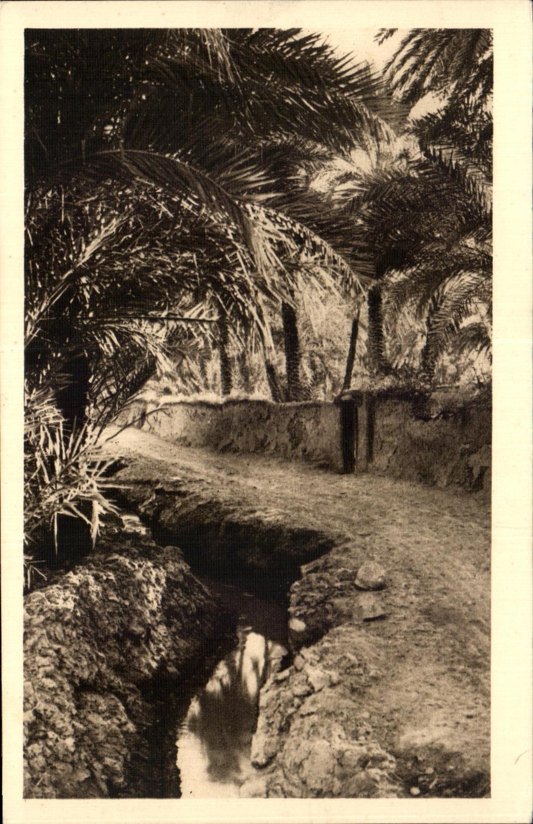 CPA Dans le vleux Biskra Algerie