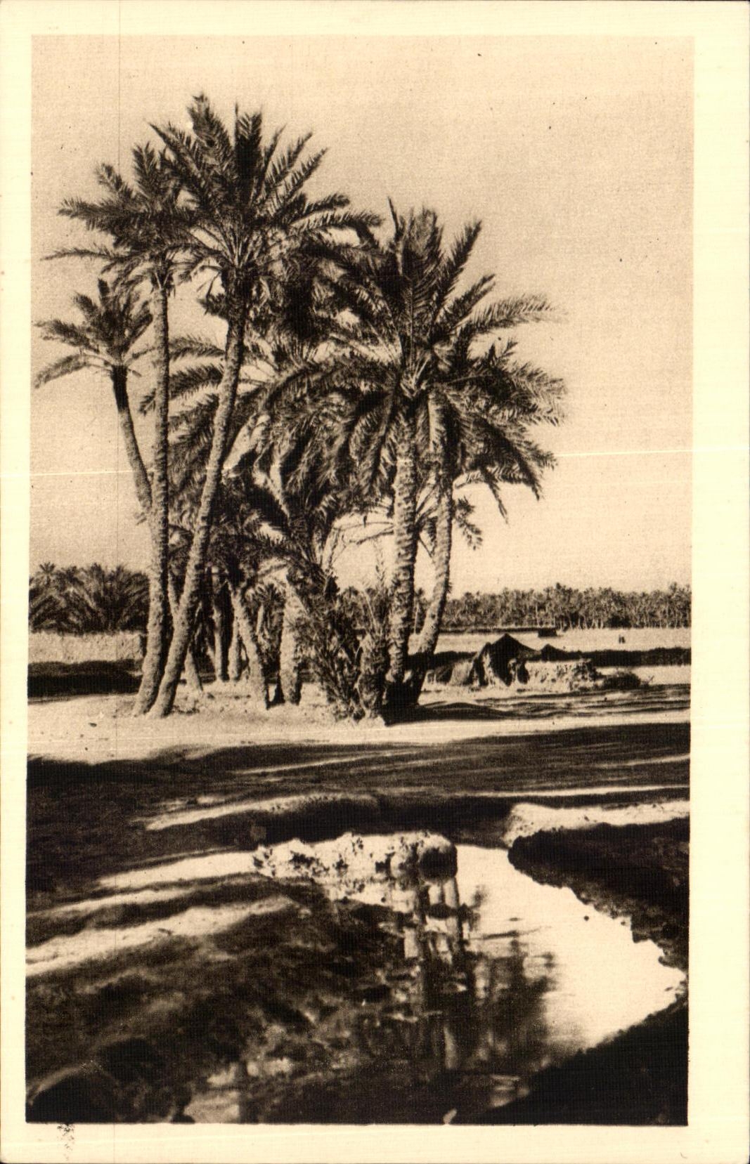 CPA Biskra route du fort turc Algerie