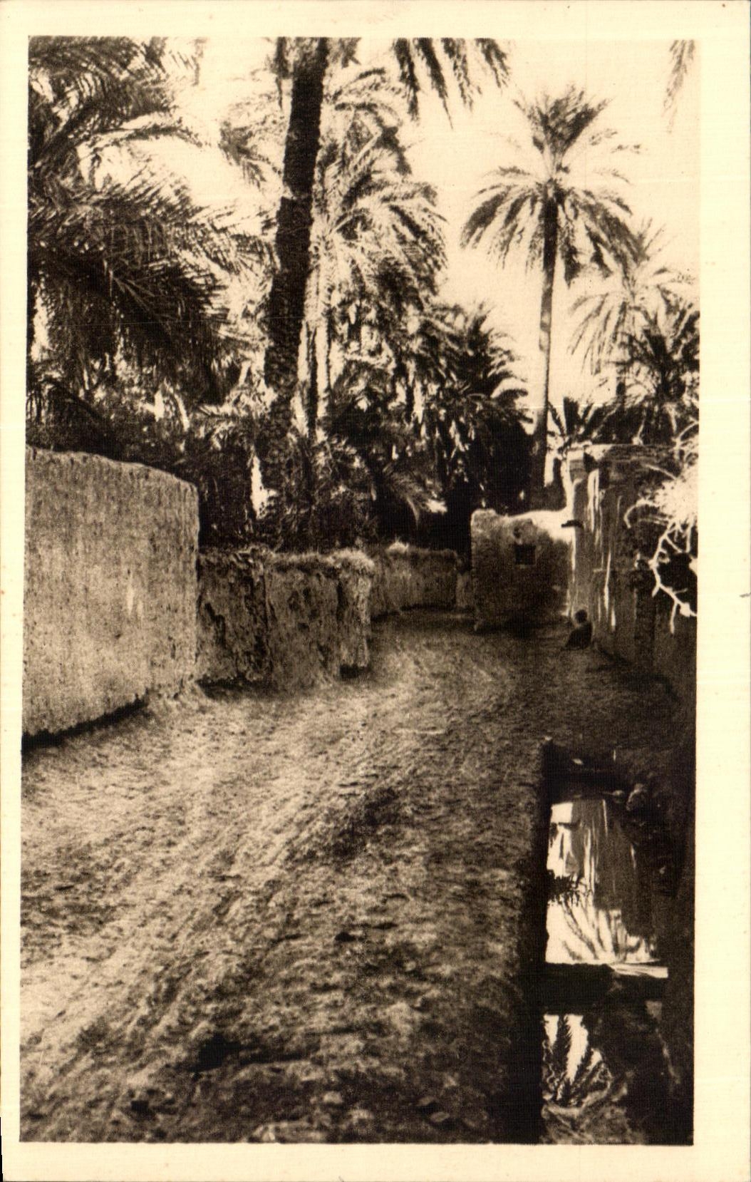 CPA In the old man will biskra Algerie