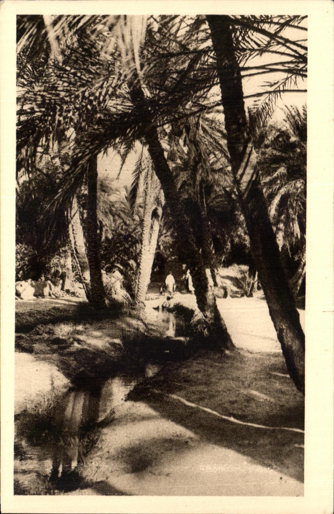 CPA Dans Le Vieux Biskra Algerie 