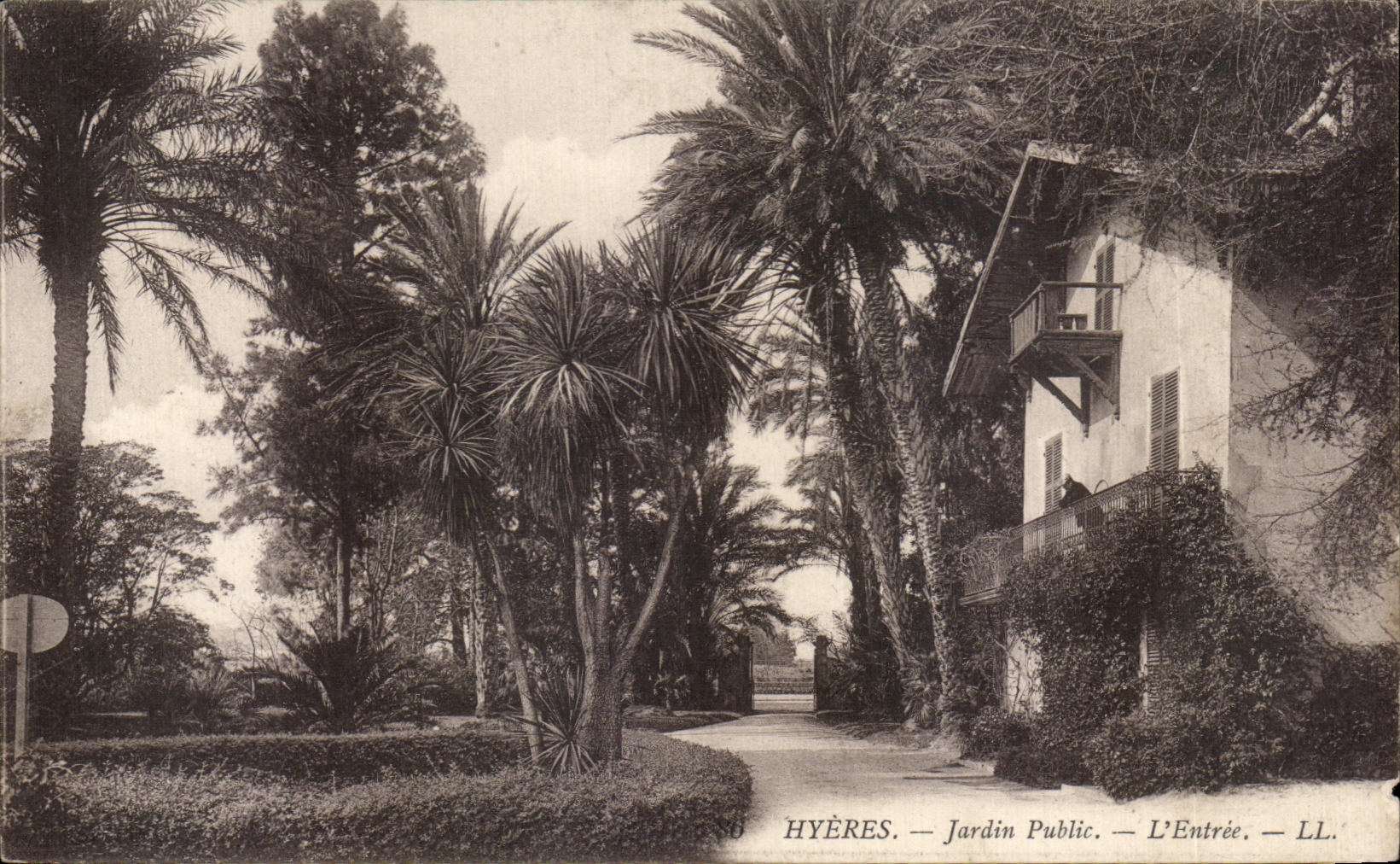 CPA Hyeres jardin public l'entree