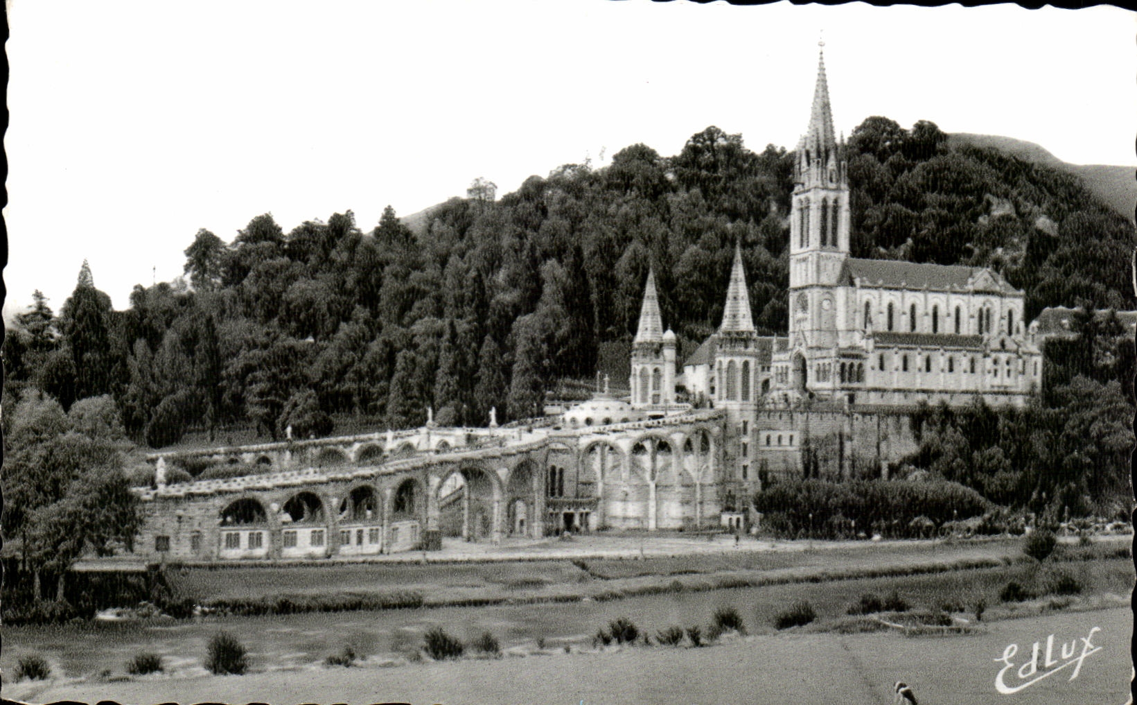 CPA Lourdes la basilique vue d'ensemble