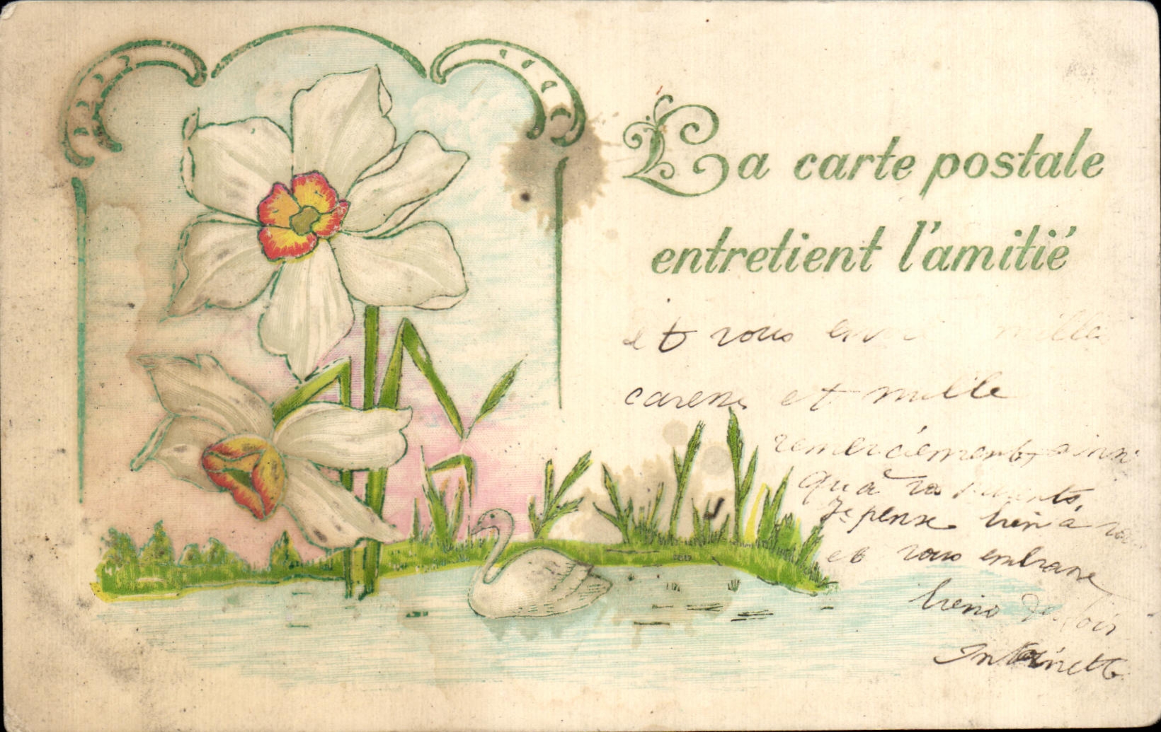 La fantasia de CPA florece el cisne