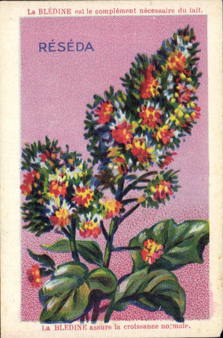 Chromo La bledine Reseda