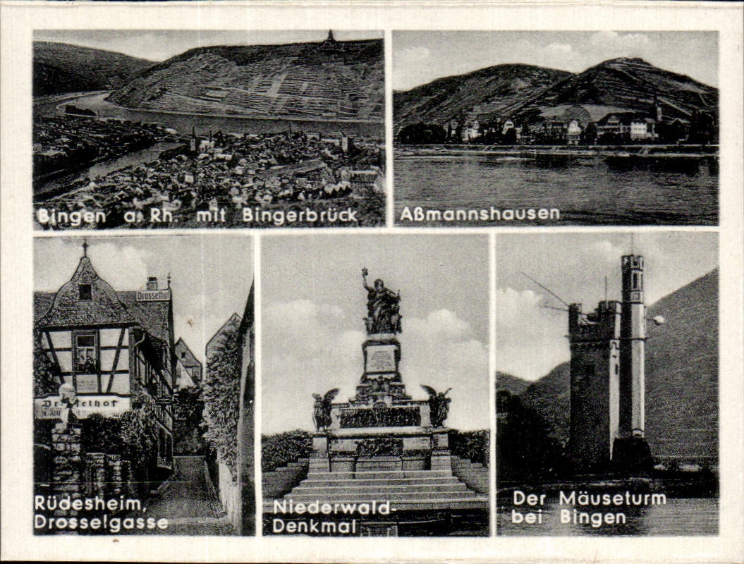 CPSM Rudesheim Assmannshausen