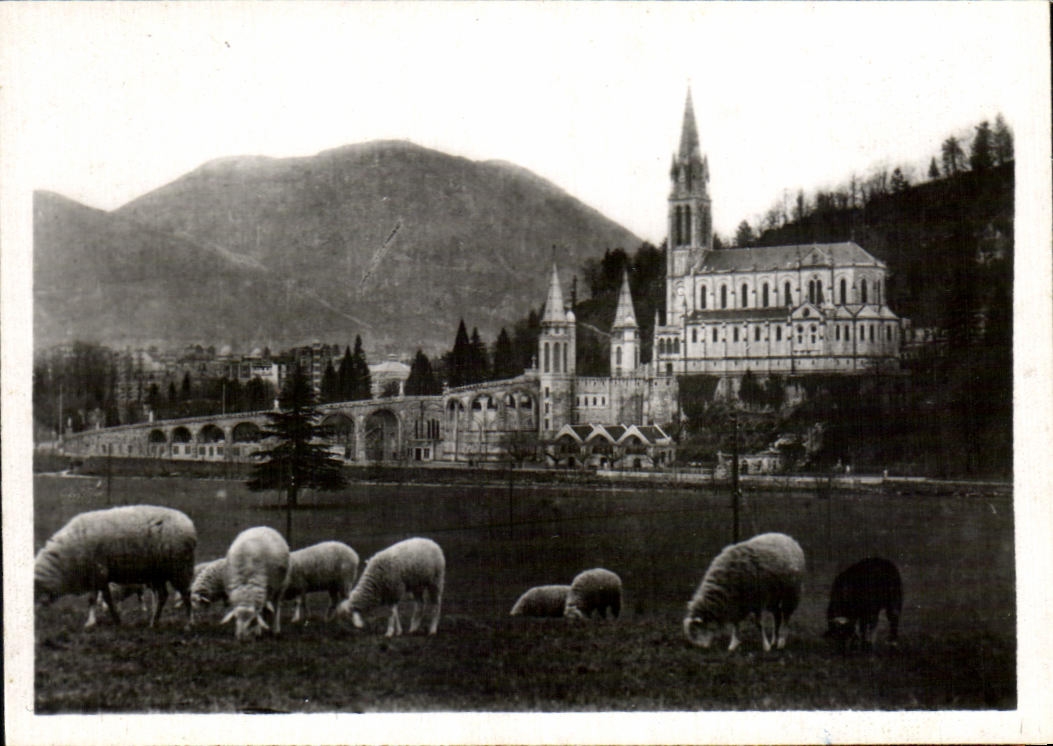 CPSM Lourdes the basilica
