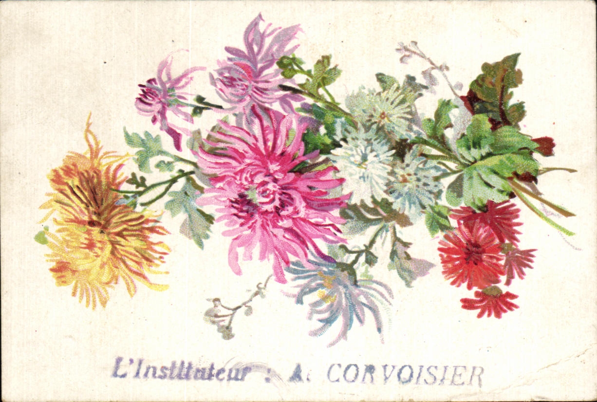 Chromo L lnstituteur a convoisier Moka Leroux Chrysanthemes