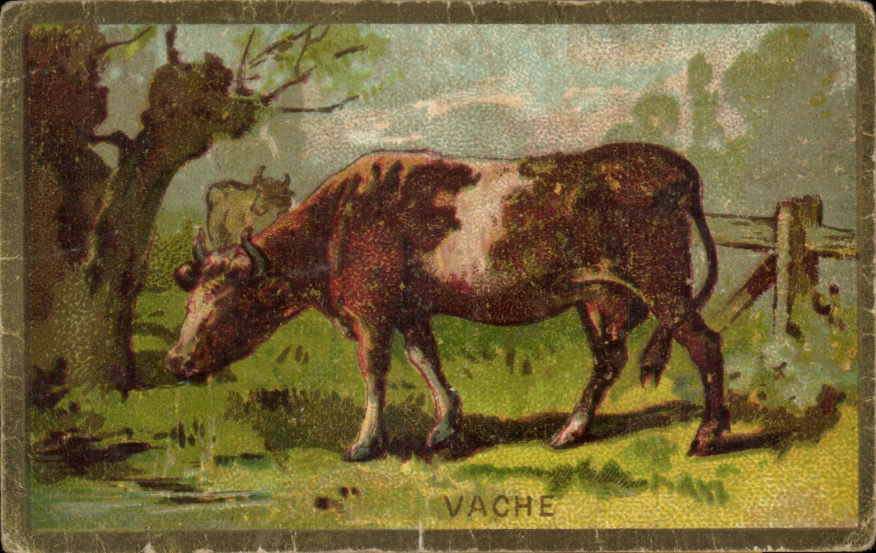 Chromo Vache Bledine Jacquemaire Villefranche