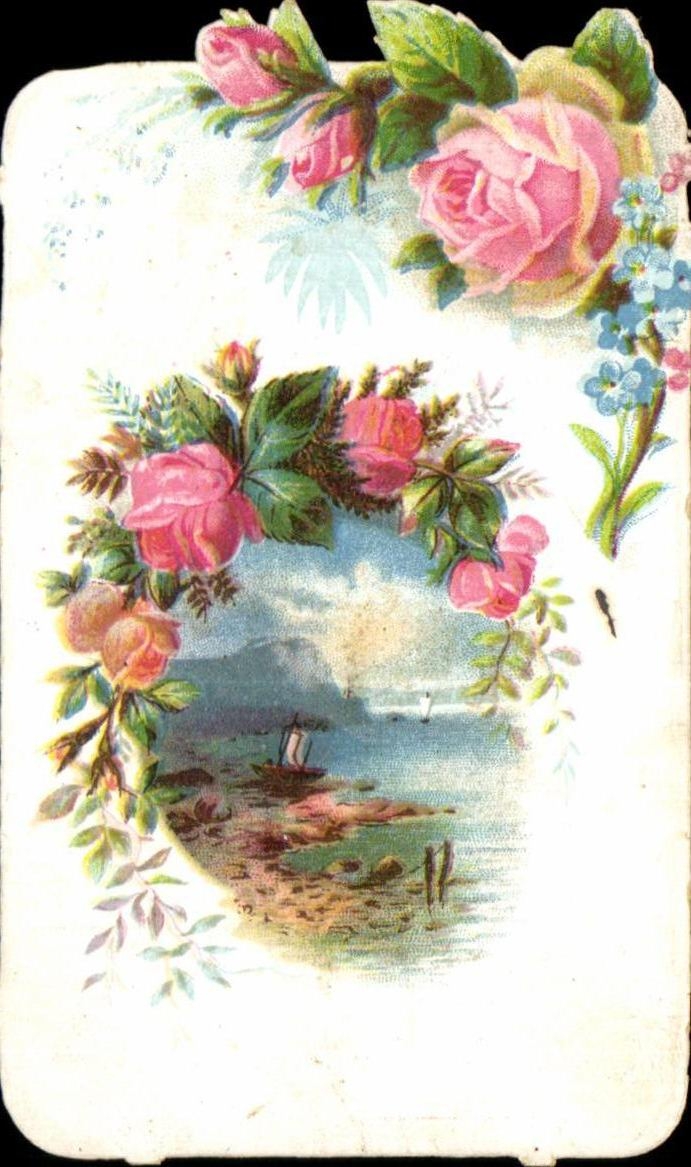 Chromo Chicoree Bouchain Cambrai Fleurs