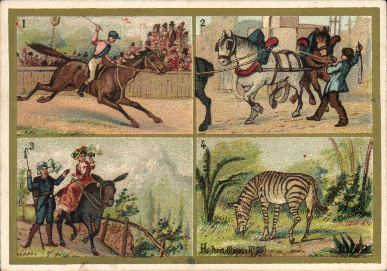 Chromo Les Pachydermes Zebre Ane Donkey Cheval Horse