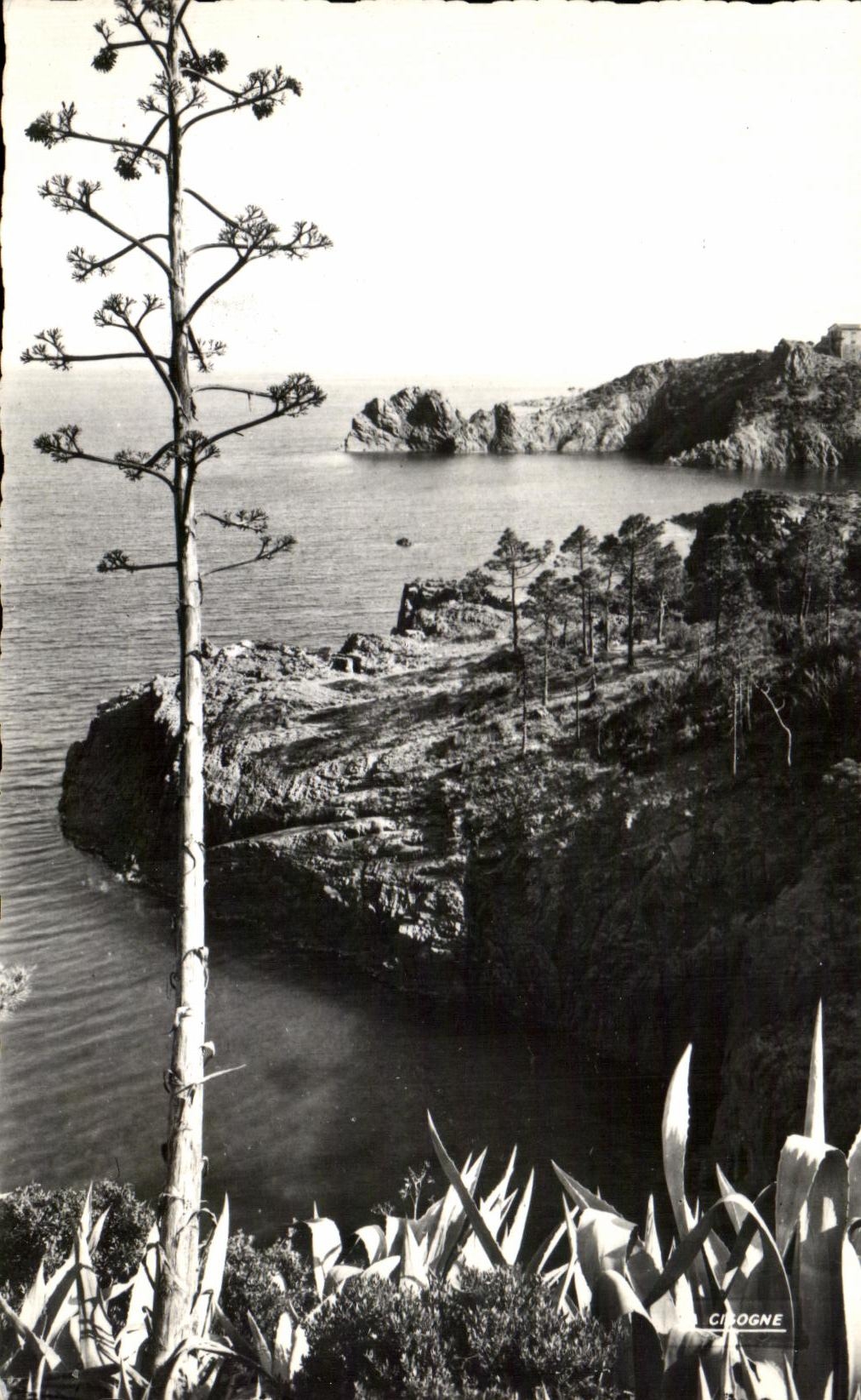 CPA La Corniche D'Or (Var) Les Rochers Rouges