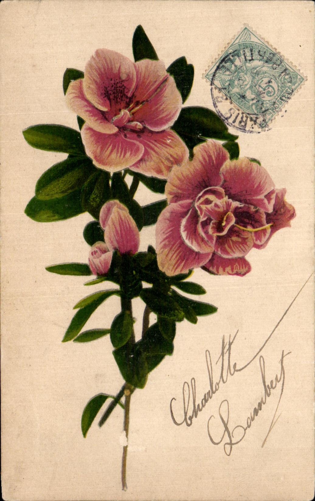 La fantasia de CPA florece rosas