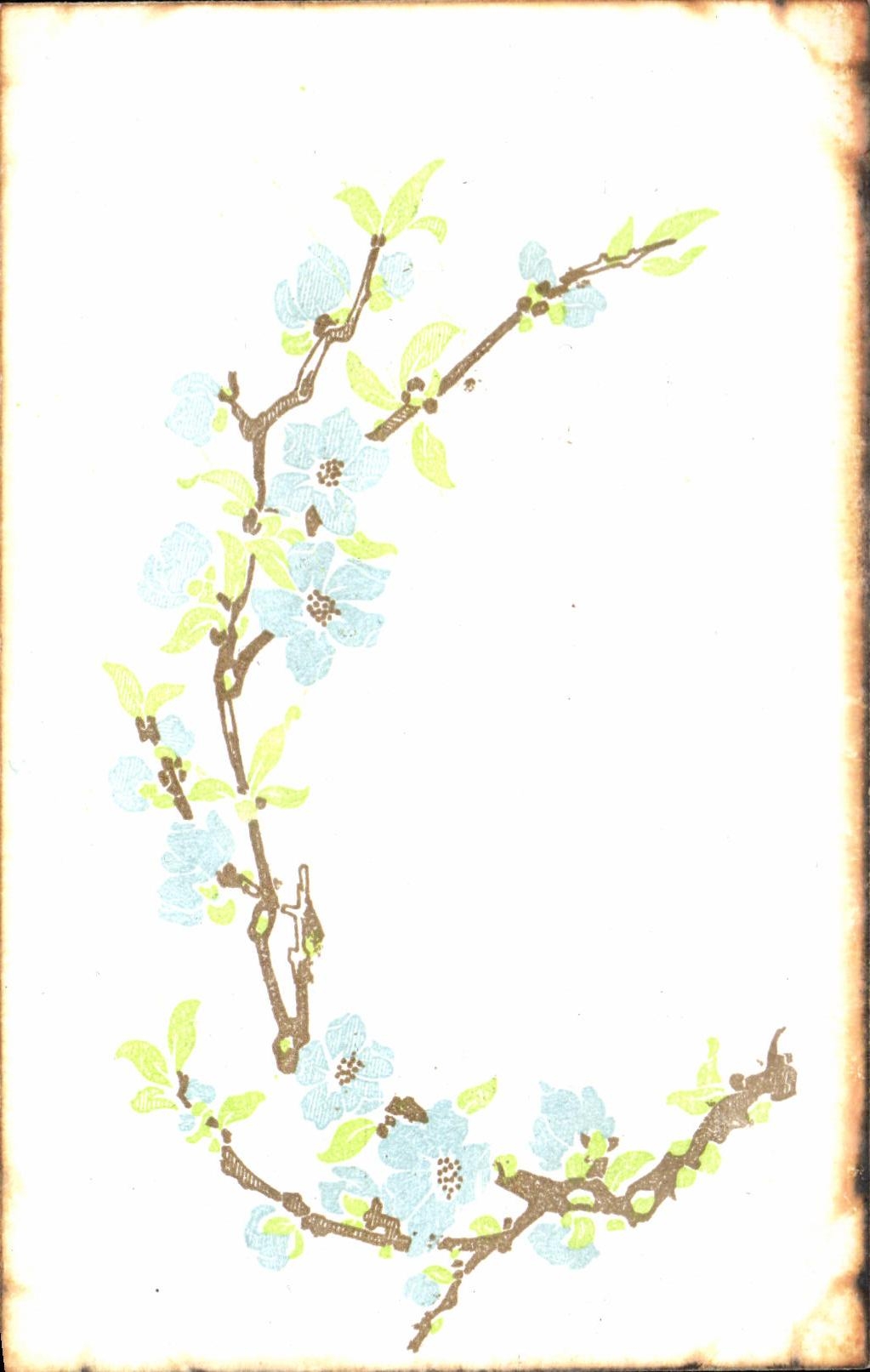 Flores de la fantasia de CPA