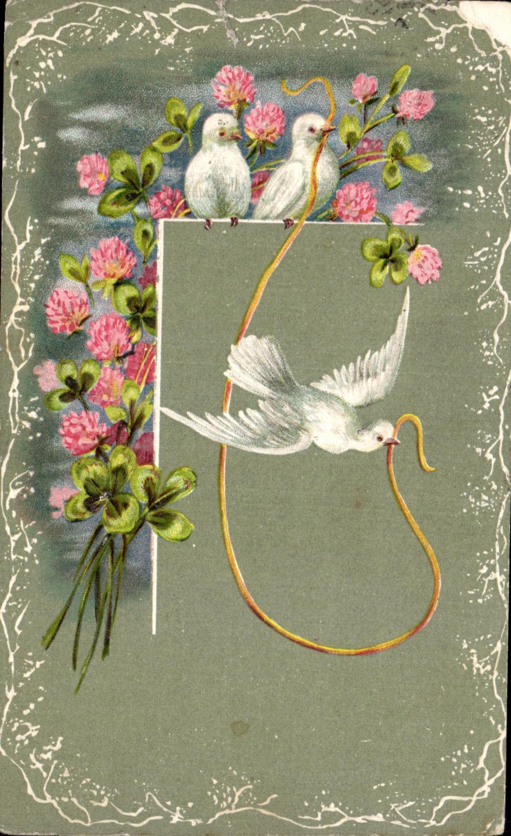 La fantasia de CPA florece palomas