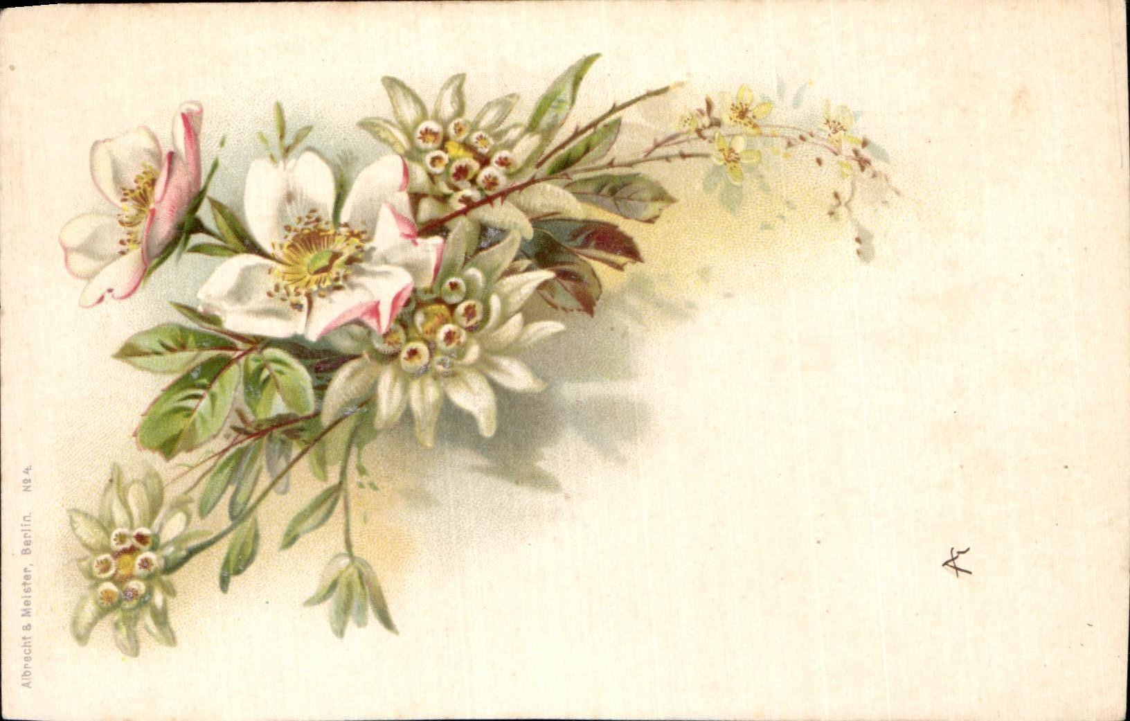 Flores de la fantasia de CPA