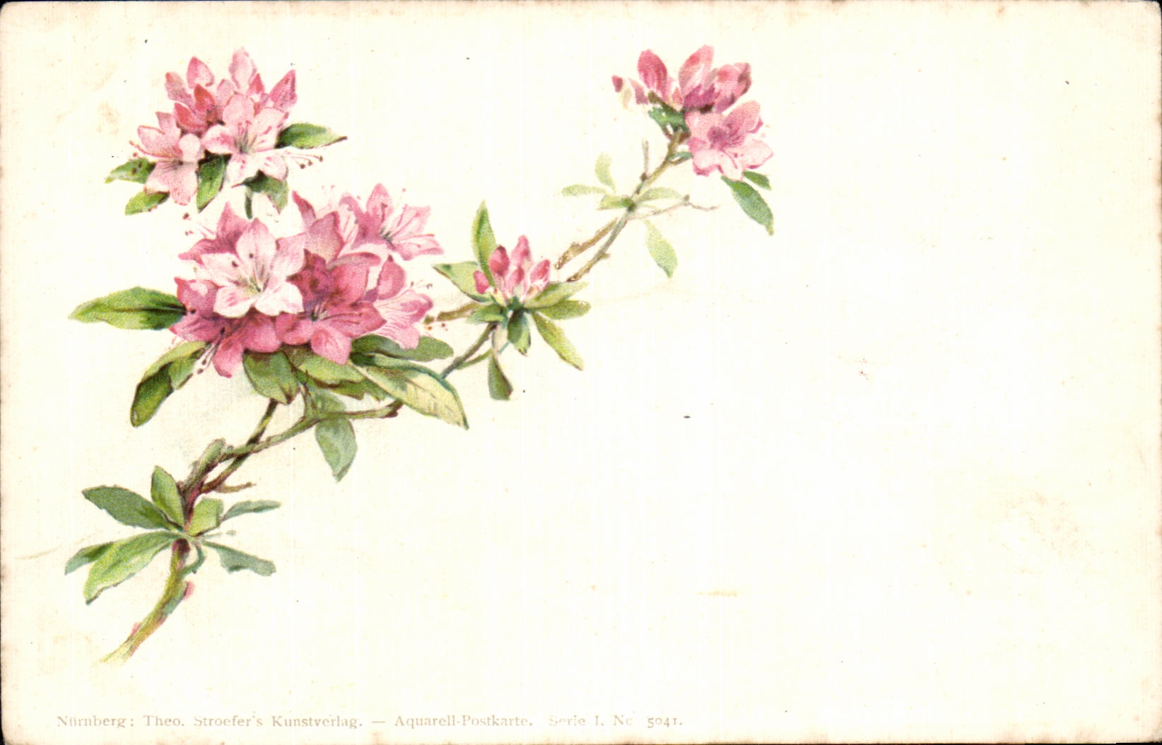 Flores de la fantasia de CPA