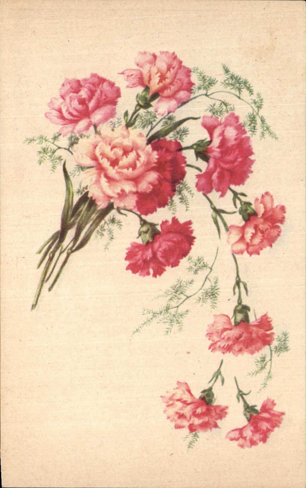 Flores de la fantasia de CPA