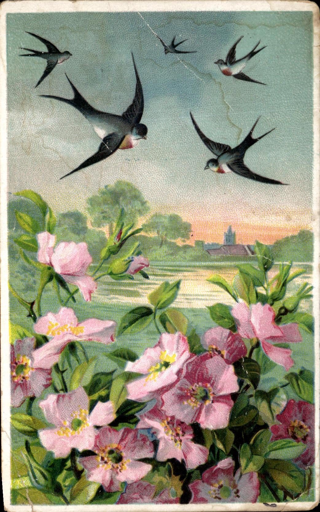 Tragos de las flores de la fantasia de CPA