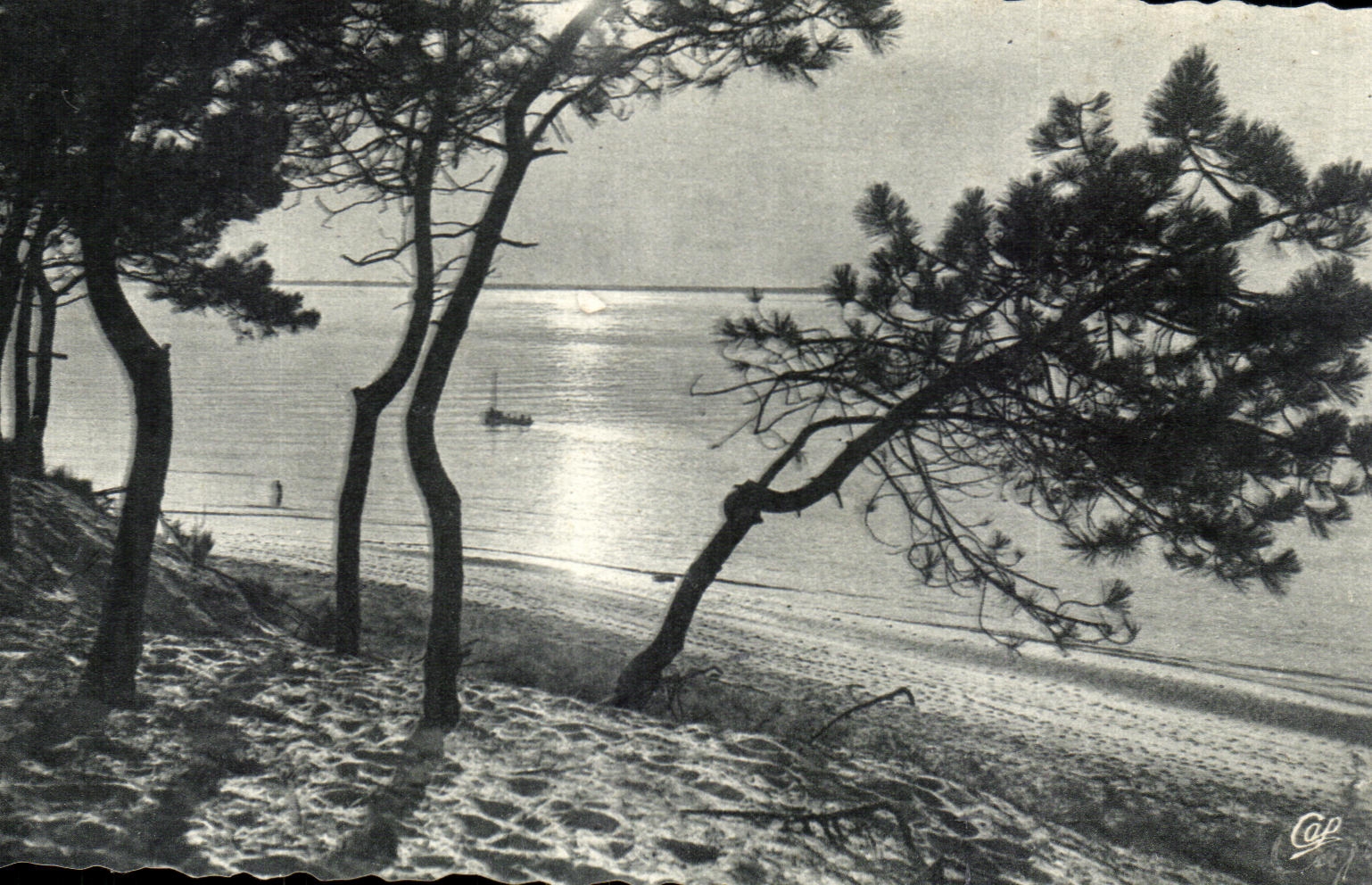 CPA Bassin d arcachon coucher de soleil