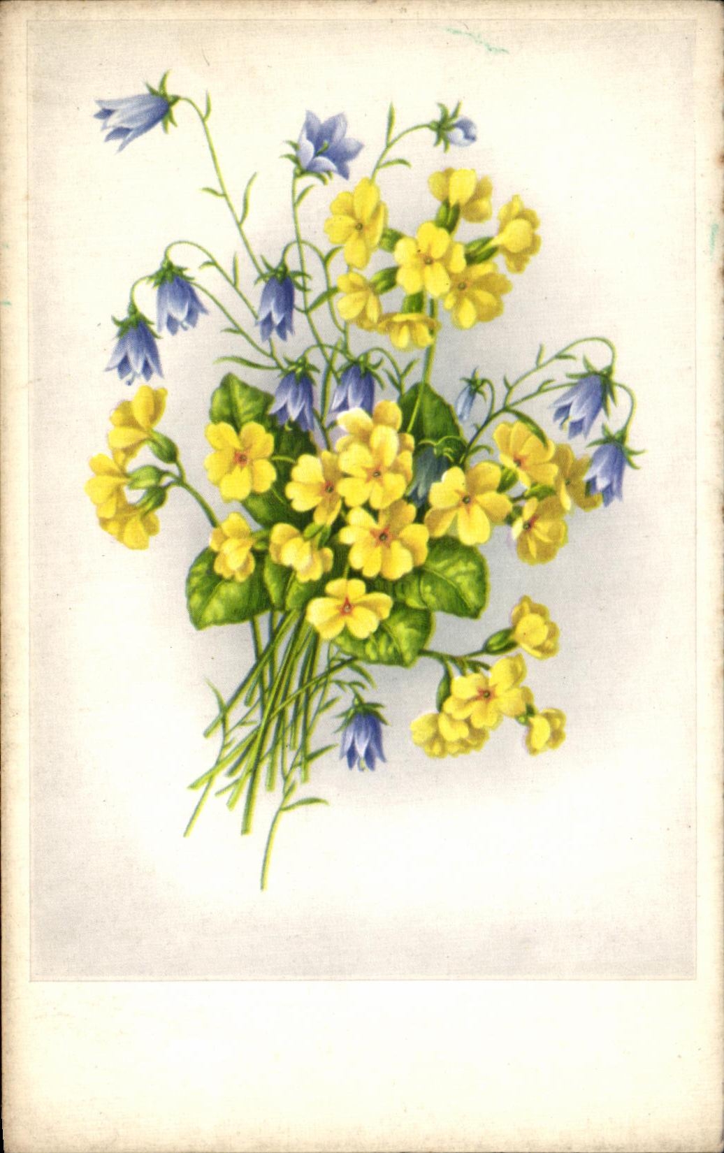 Flores de la fantasia de CPA