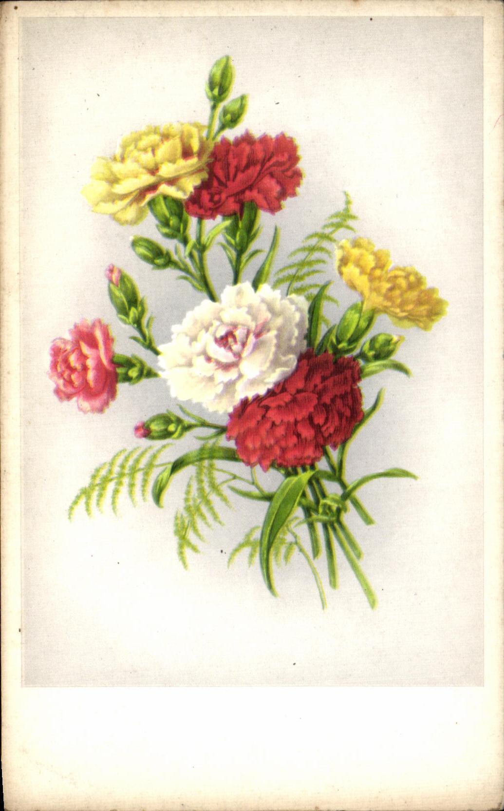 Flores de la fantasia de CPA