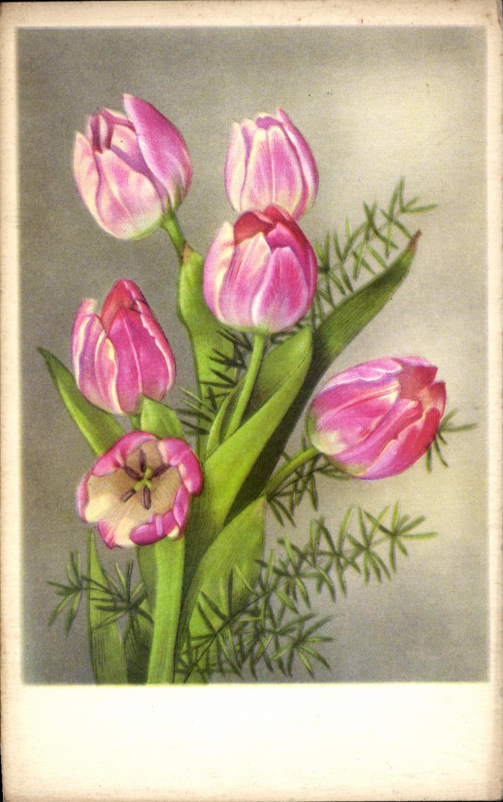 Flores de la fantasia de CPA