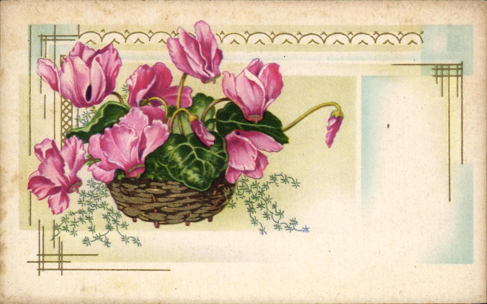 Flores de la fantasia de CPA