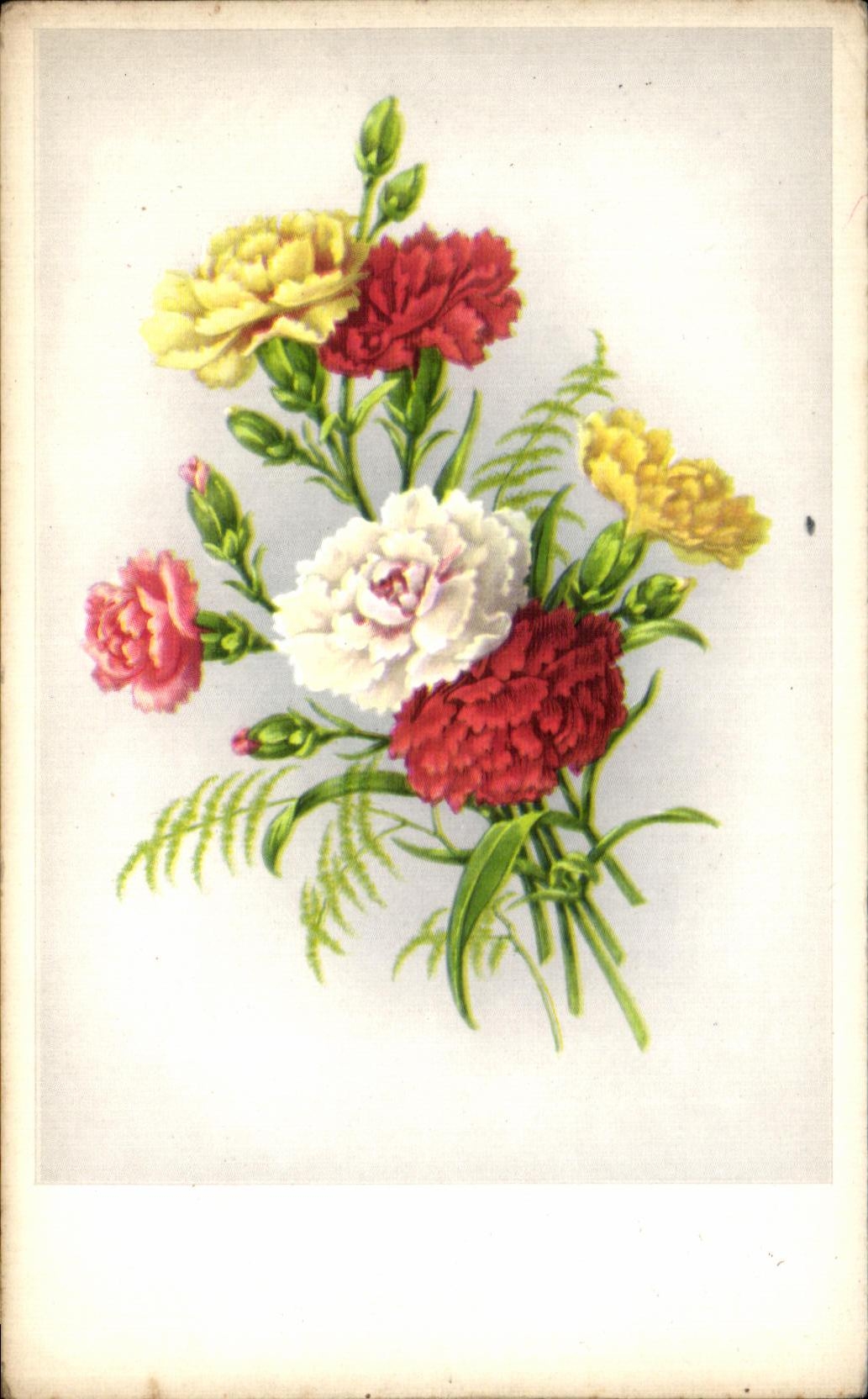 Flores de la fantasia de CPA