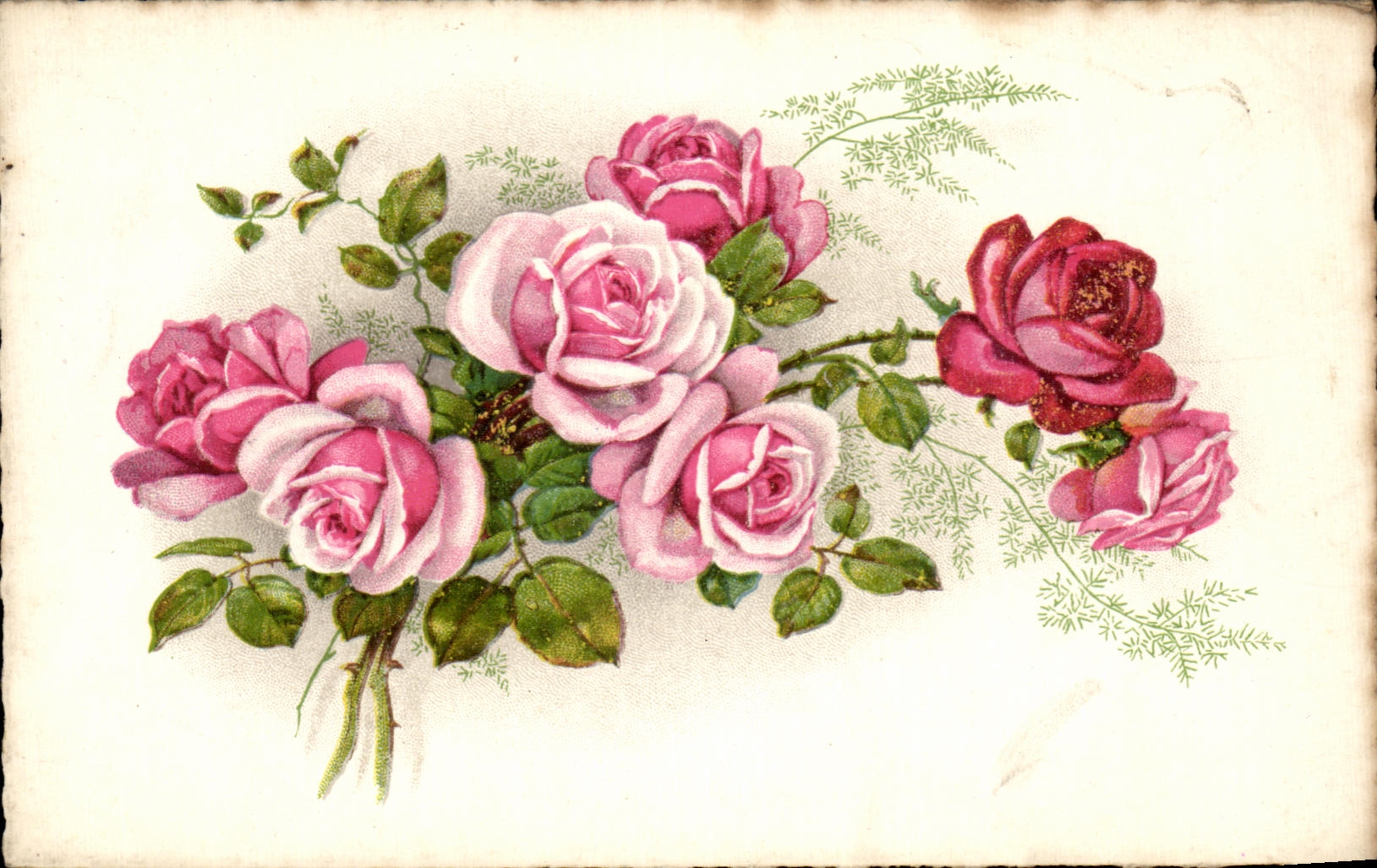 Flores de la fantasia de CPA